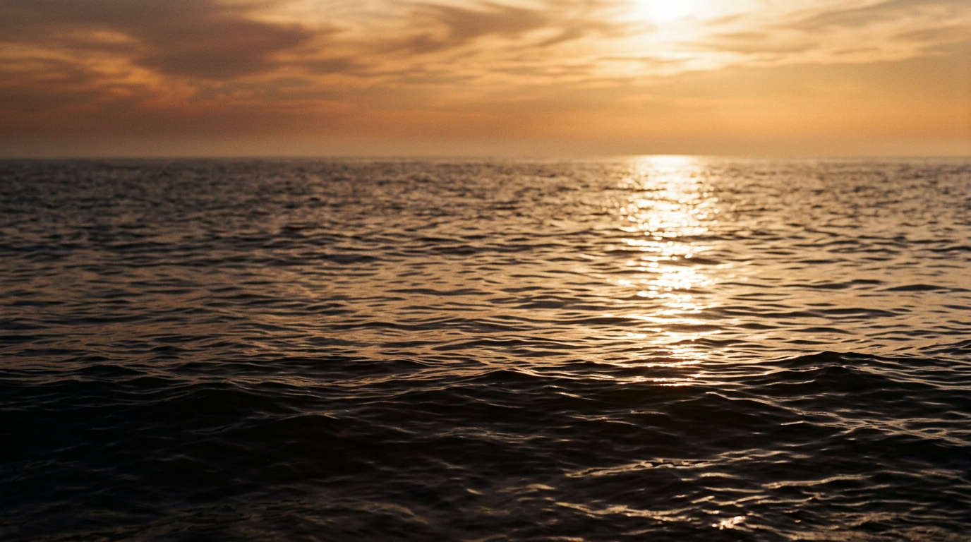 Late sunlight moving across open water